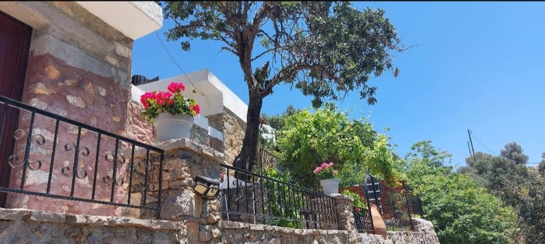 Villa Sarichel Nikithianos Екстер'єр фото